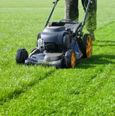 Grass Cutting